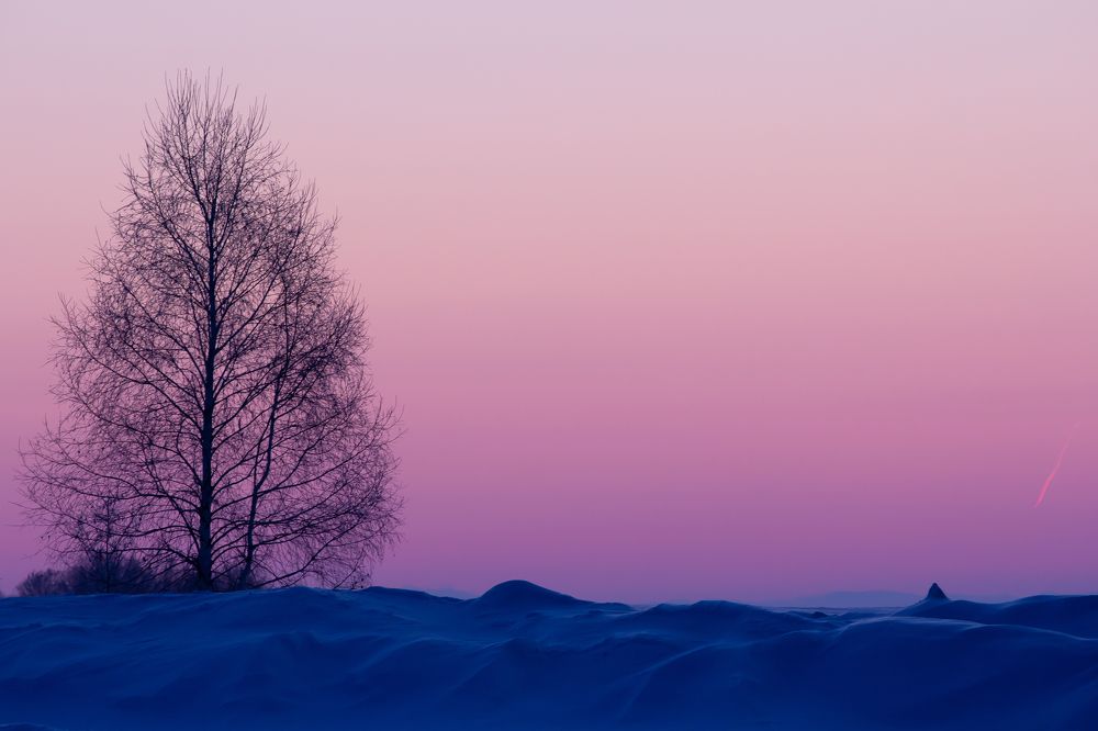 Pink sunrise over the blue snow