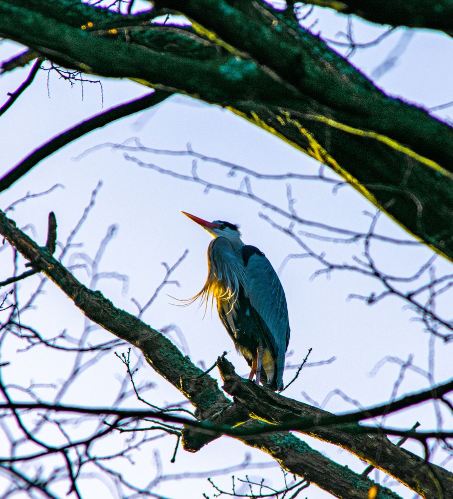 Photograph by Vitalii Kaznin