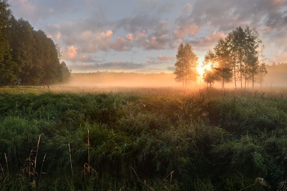 Photograph by Виталий Полуэктов