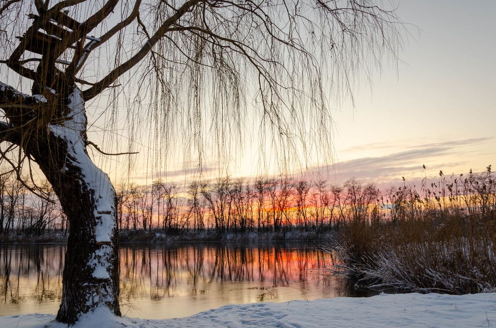 Photograph by Редько Александр