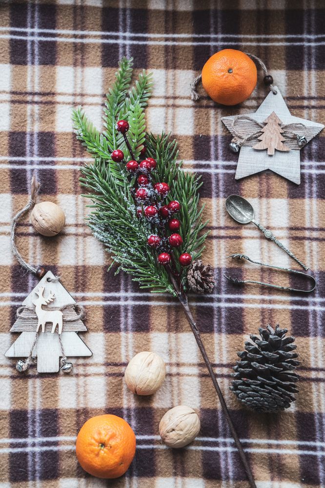 Фотография автора Василиса Новикова