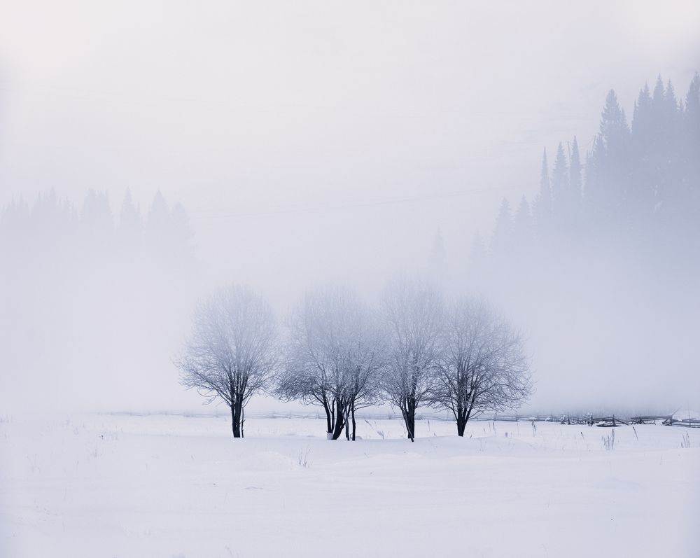 Photograph by Светлана Краюшкина