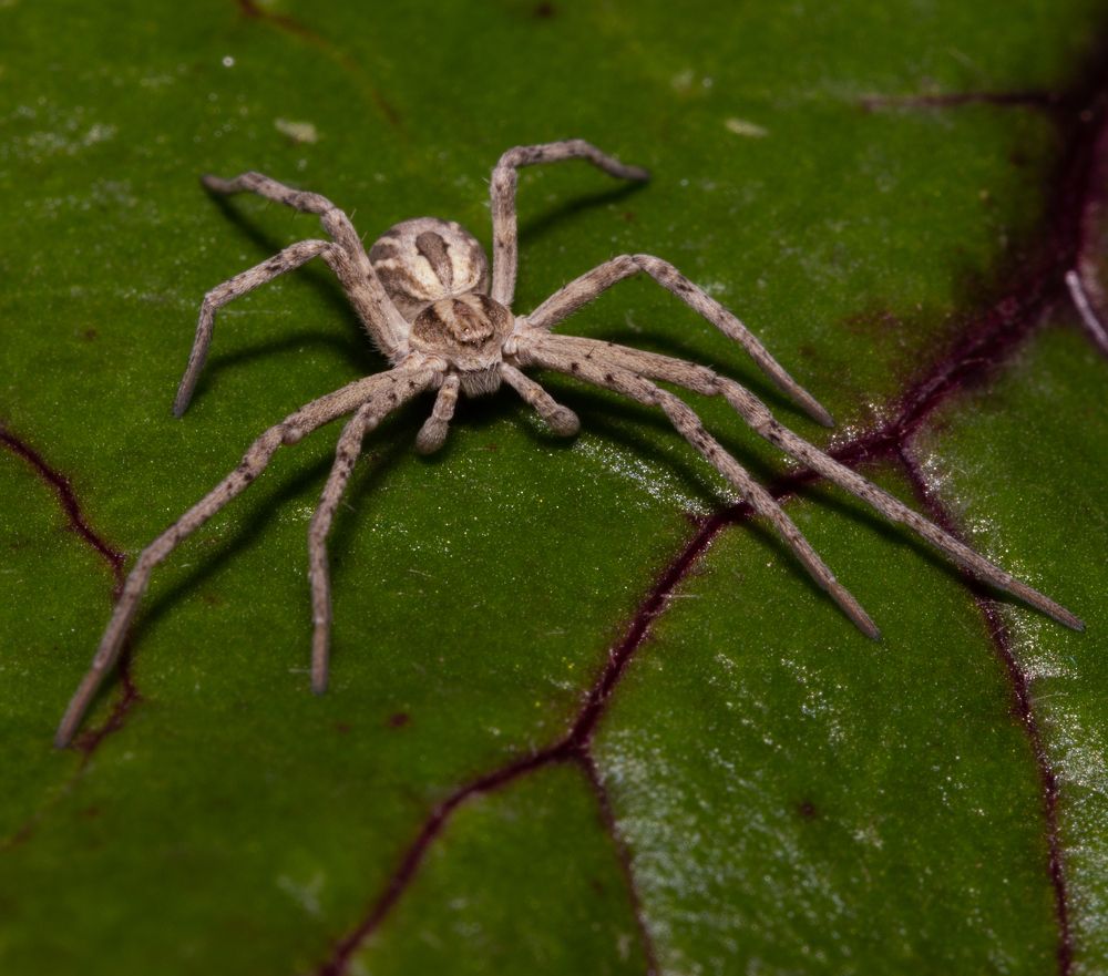 Photograph by Александр Шлюпиков