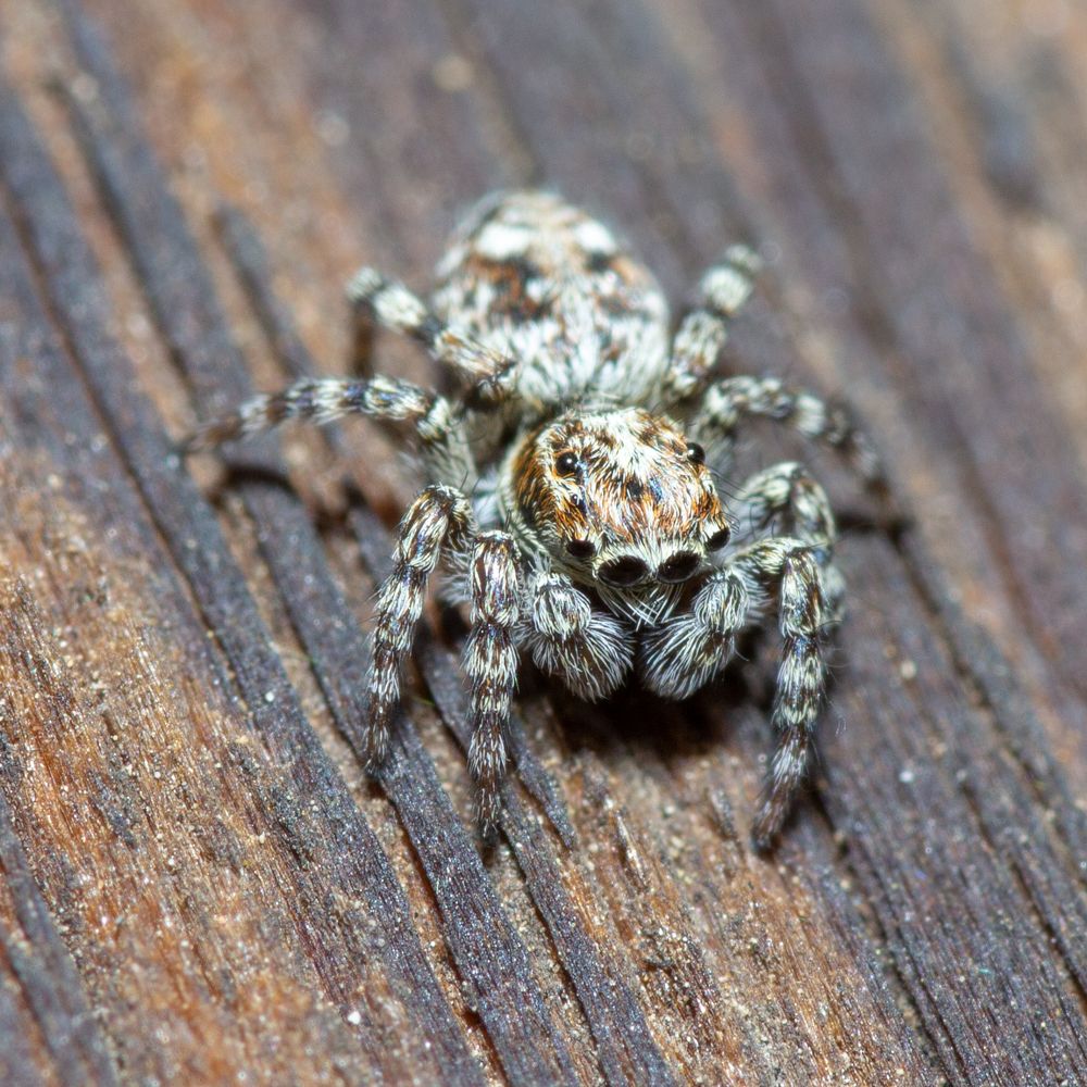 Photograph by Александр Шлюпиков