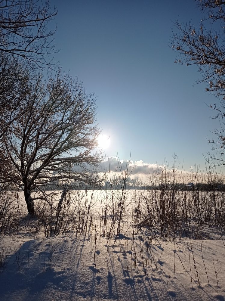 Photograph by Виктория Дога