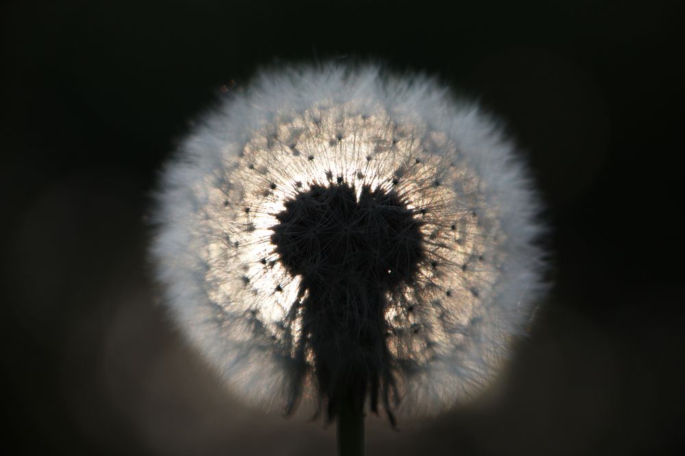 Photograph by Tatiana Serova