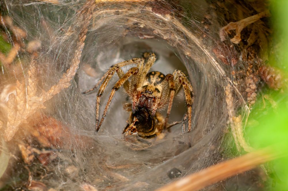 Photograph by Evgeny Ruban