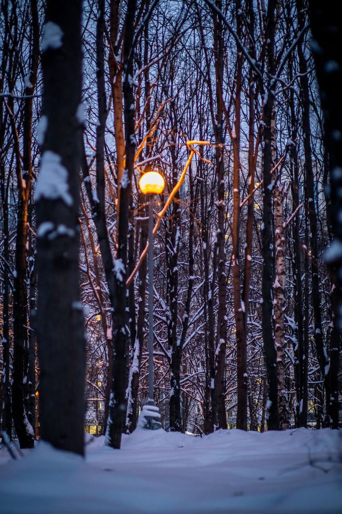 Photograph by Литвинов Николай