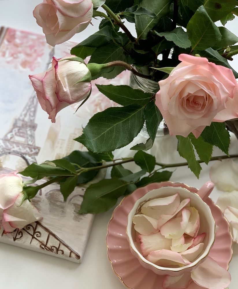 Photograph by Liliana Grup