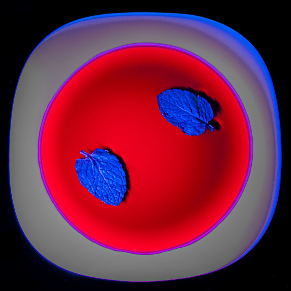 Photograph by Игорь Бобров