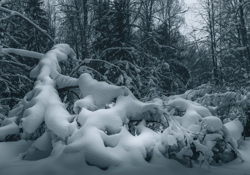 Photograph by Юрий Грамаков