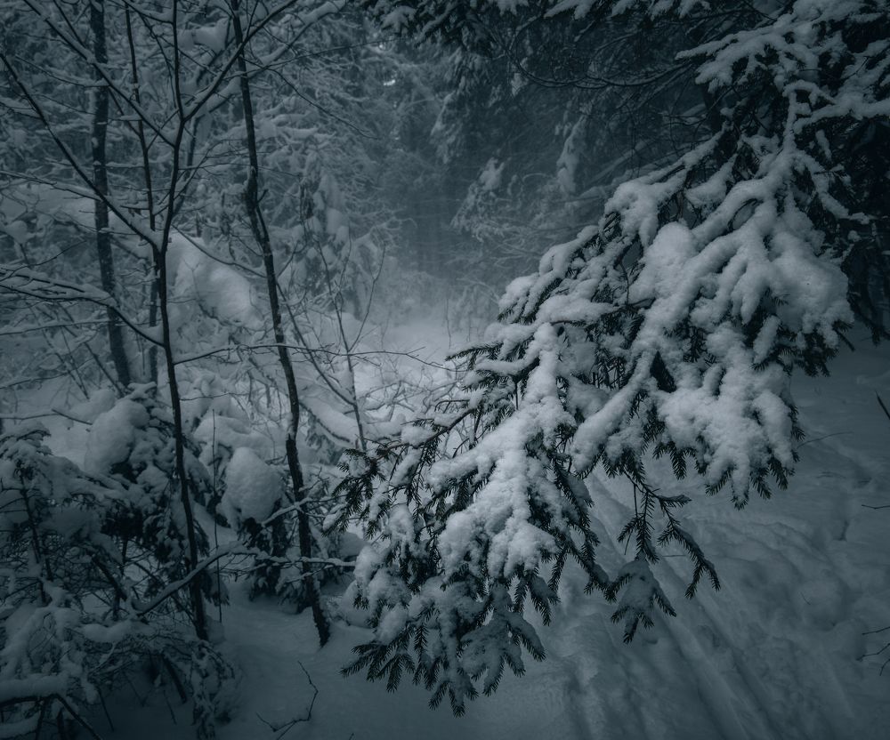 Photograph by Юрий Грамаков