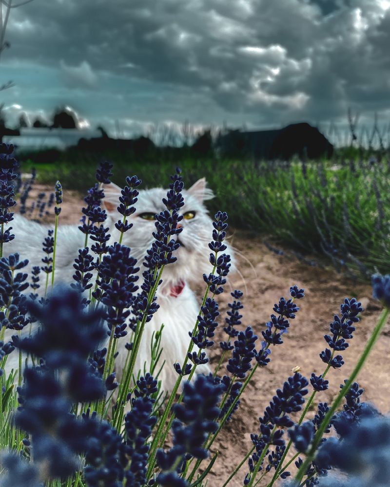 Photograph by Александр