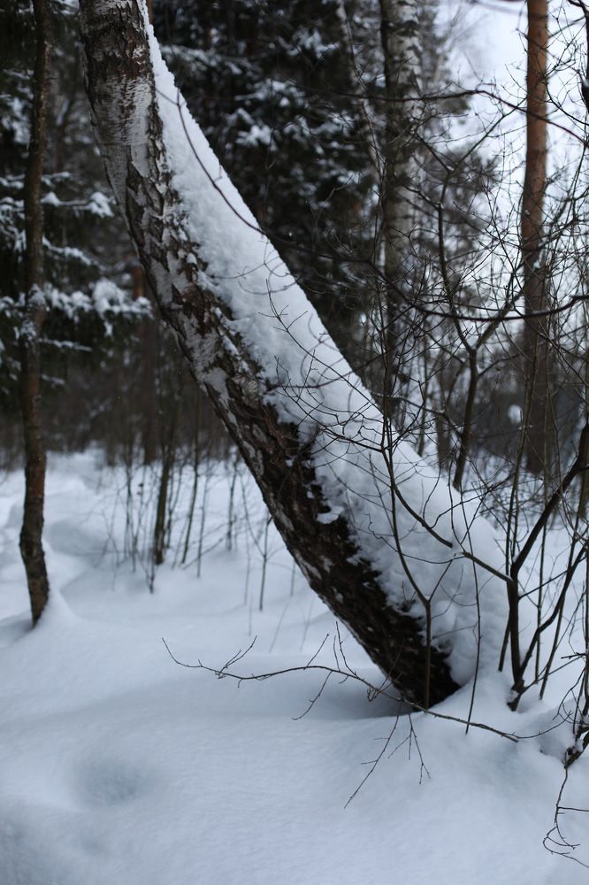 Photograph by Екатерина Бондаренко