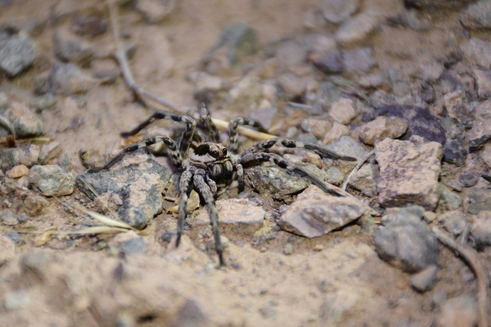 Photograph by Mohammad Amin Ghaffari