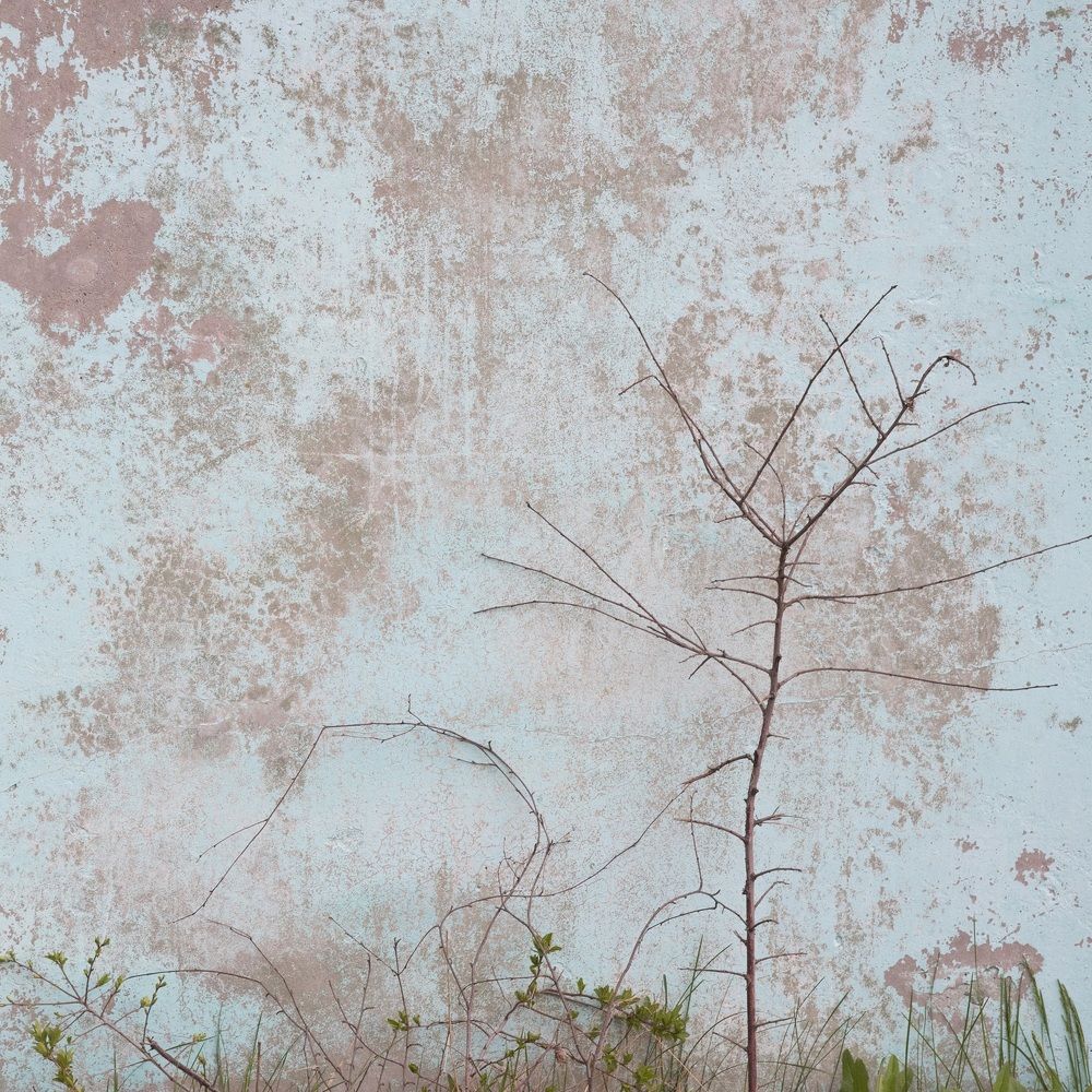 Взаимодействие.