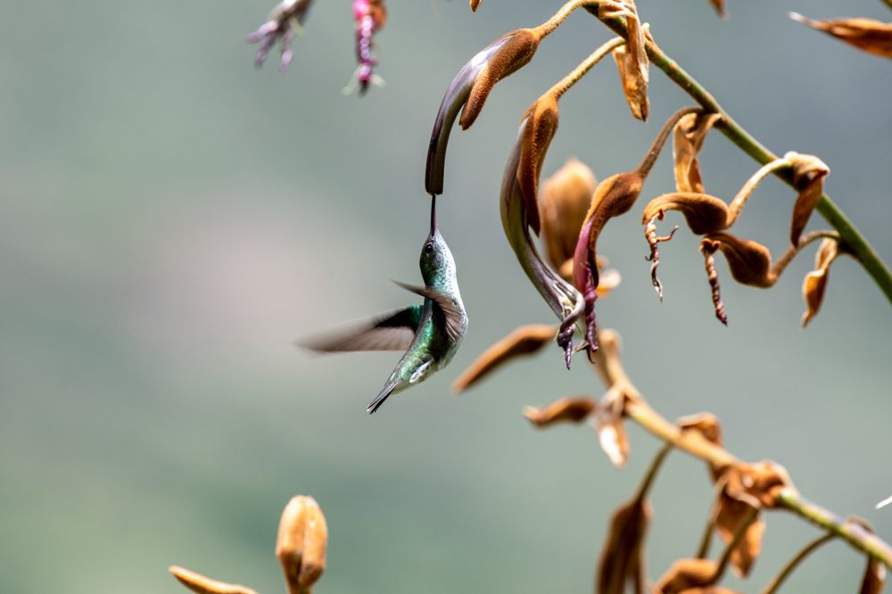 Photograph by Uriel Caballero