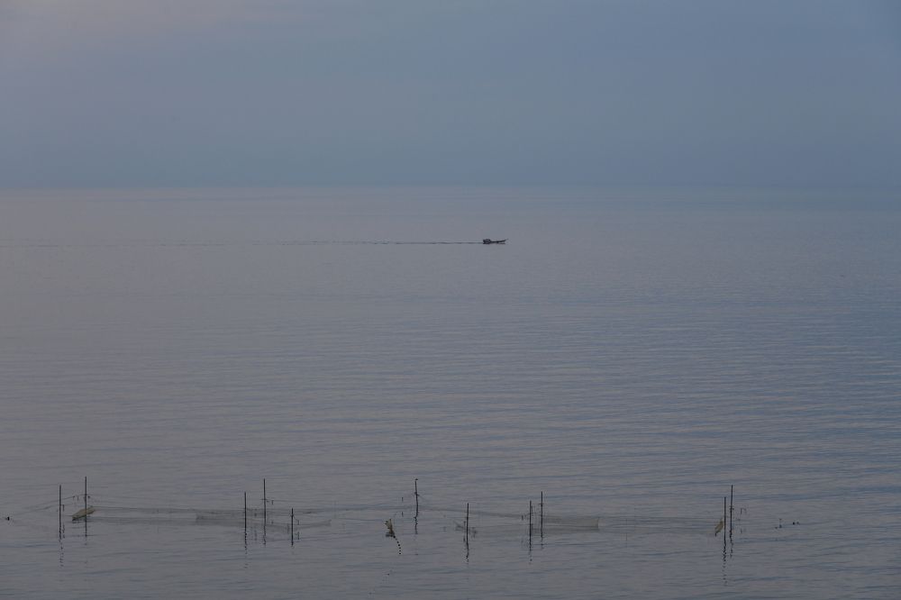 Фотография автора Александра Елагина