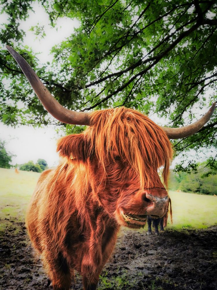 Photograph by Lynne Hunter