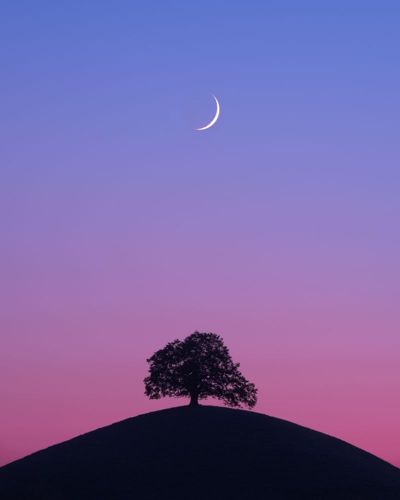 Photograph by Benjamin Barakat