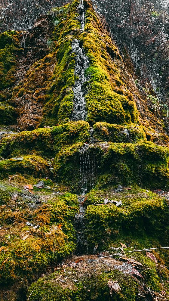 Photograph by Ирина Панкова