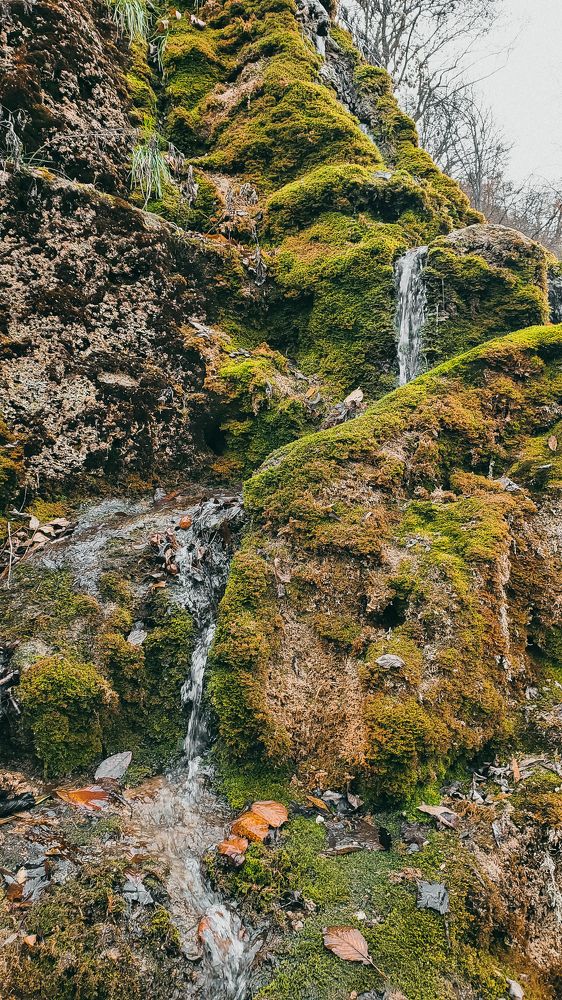 Photograph by Ирина Панкова