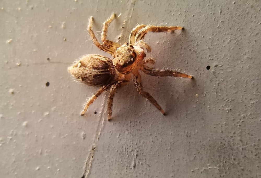 Photograph by Anil Yadav