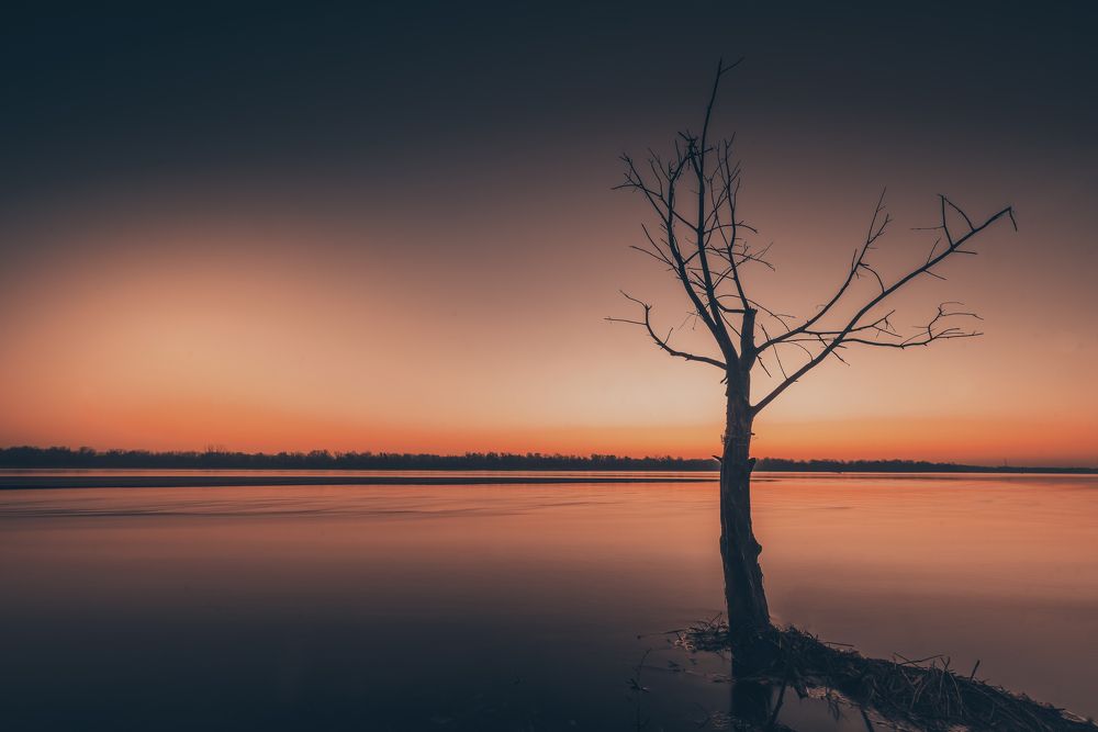 Photograph by Dariusz Budyta