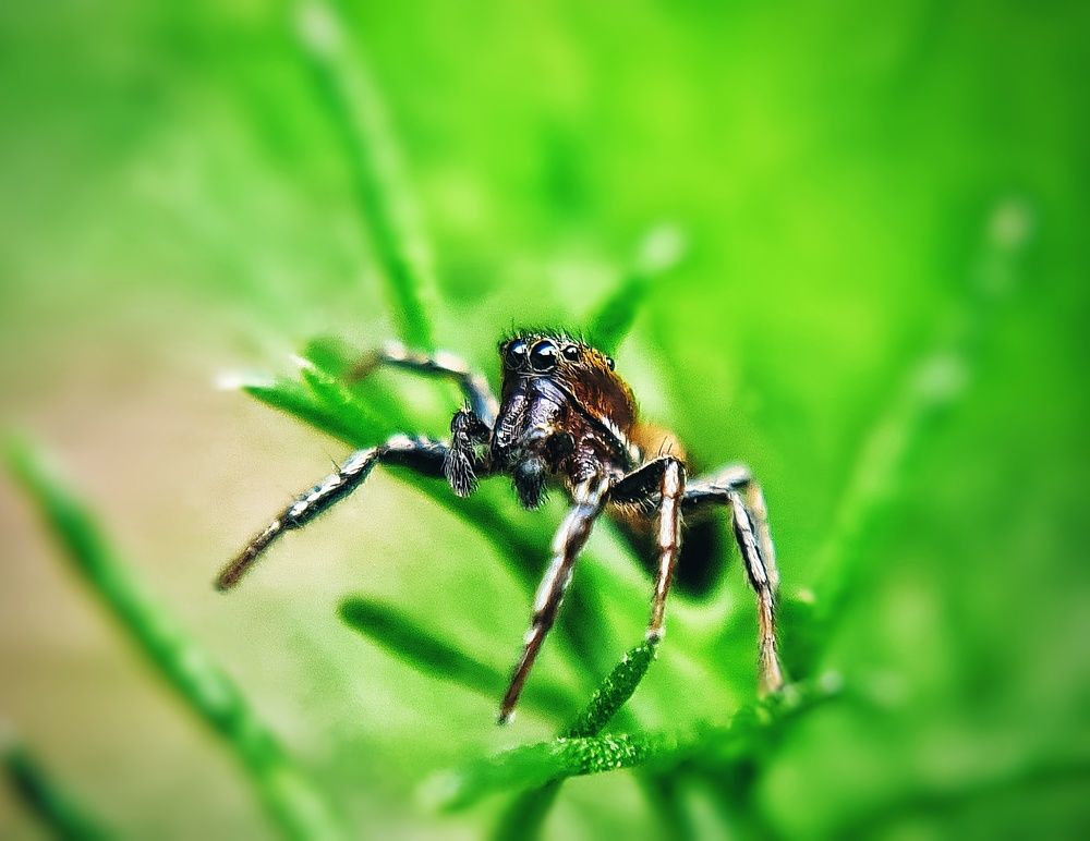 Photograph by Ольга Веселова