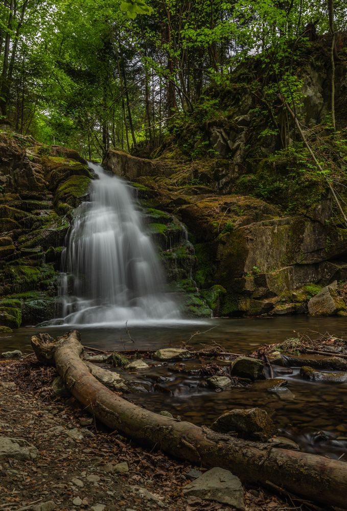 Photograph by Dariusz Budyta