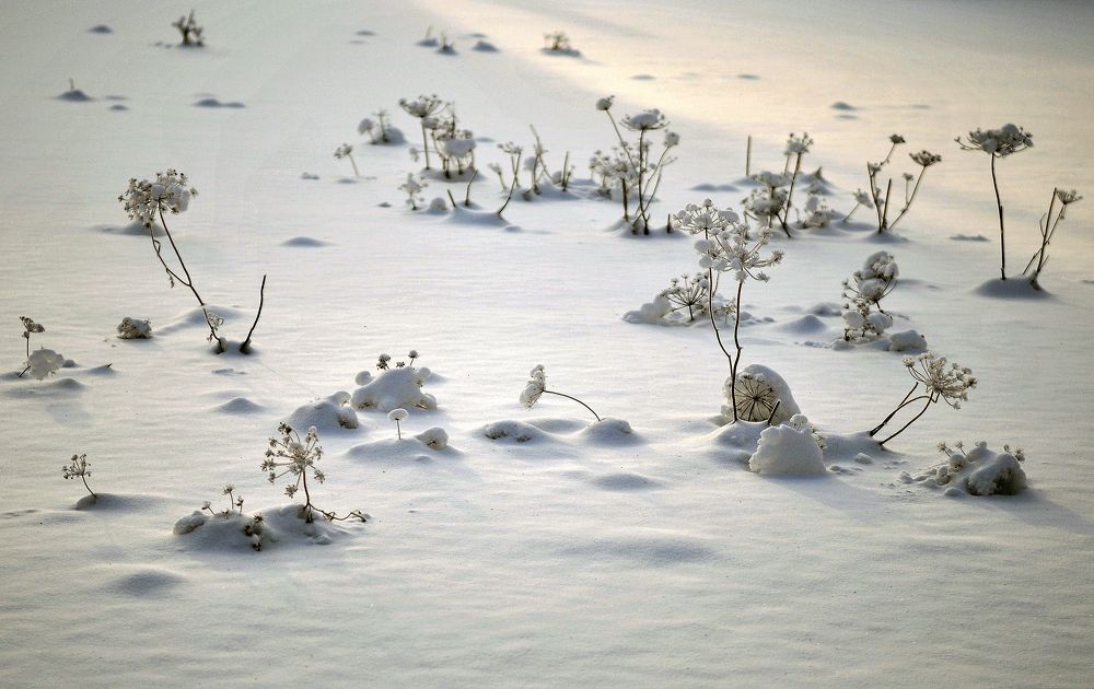 Photograph by Игорь Шадрин