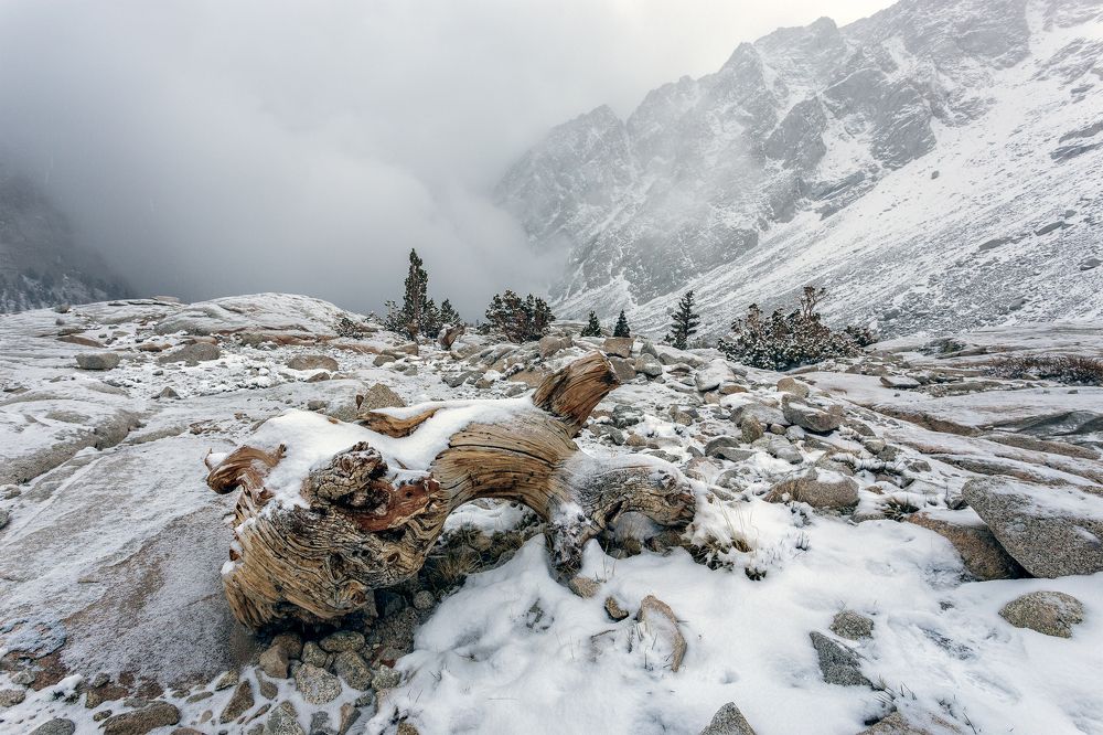 Photograph by Vyacheslav Shausmanov