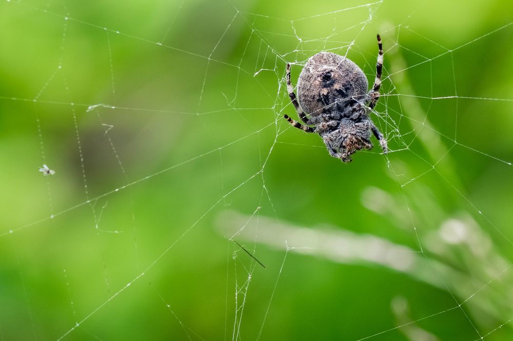 Photograph by Pavel Milovankin