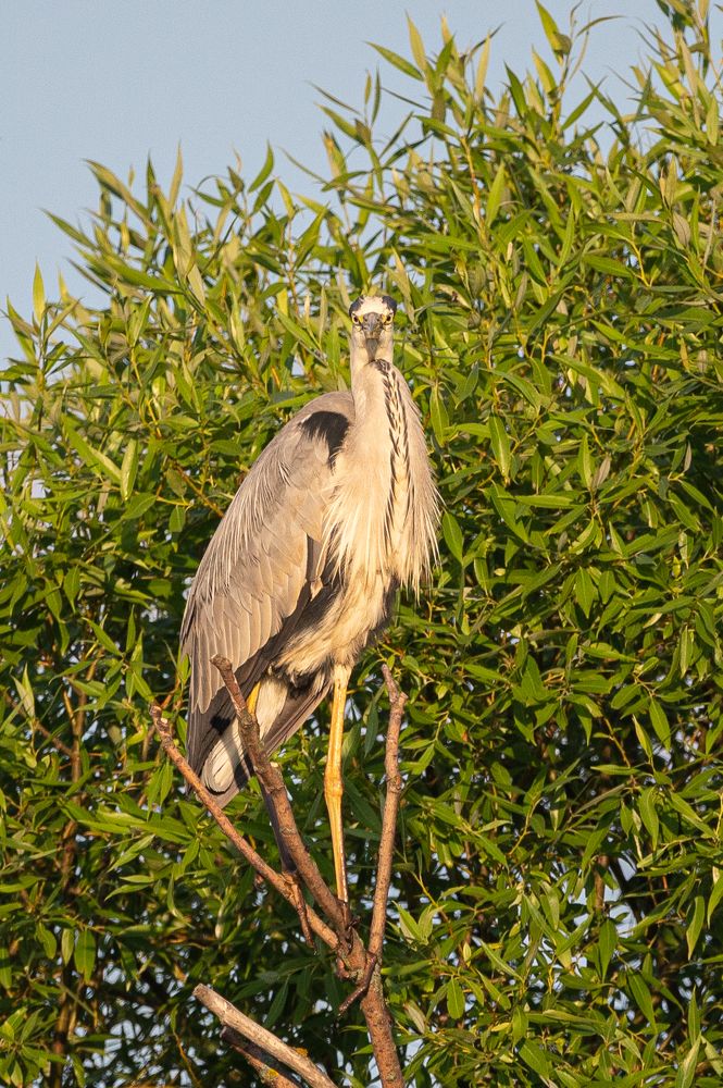 Photograph by Александр Щербаков
