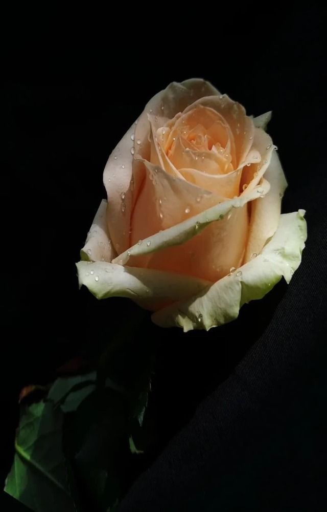 Photograph by Наталья Круглова