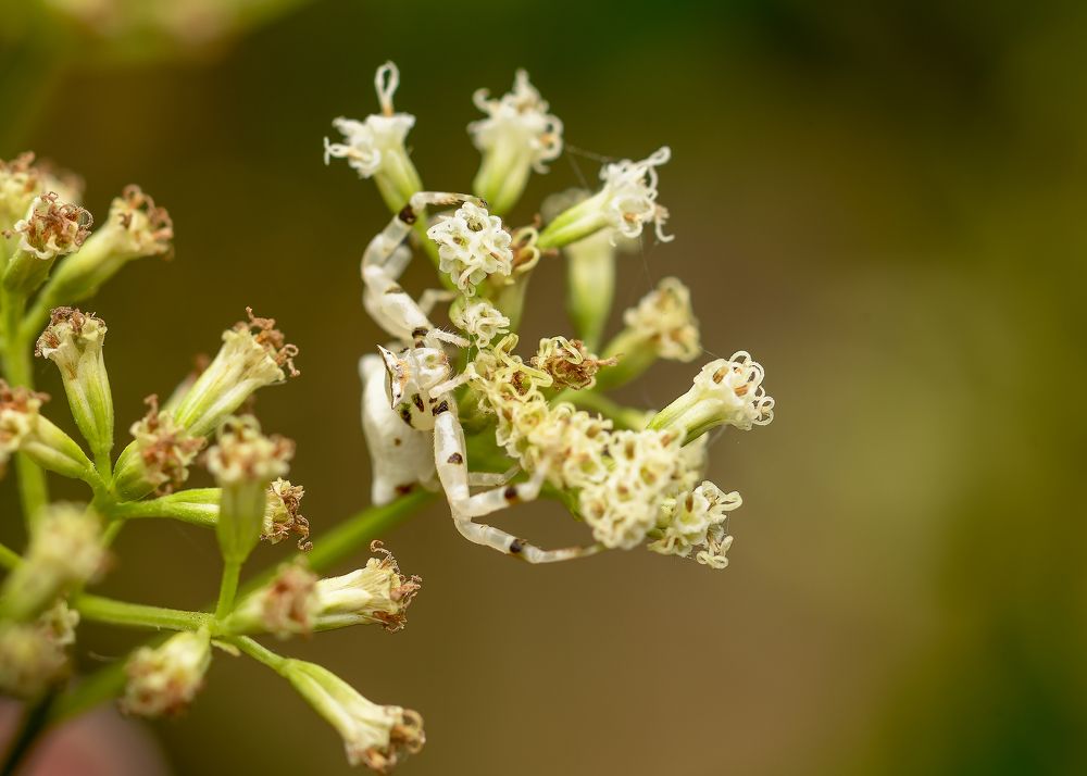 Photograph by Mridula S