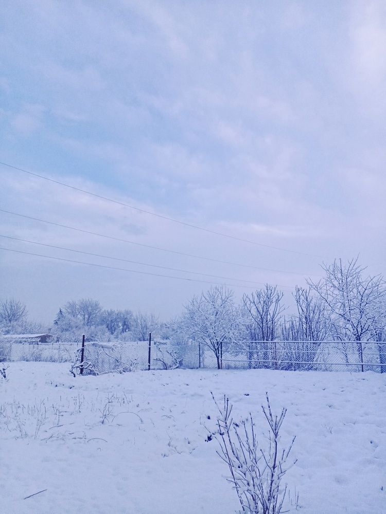 "Один день зимы"
