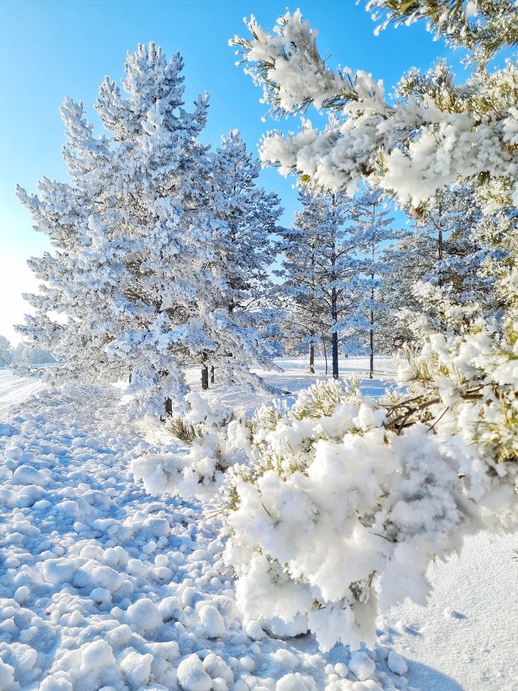 Photograph by Ольга Веселова