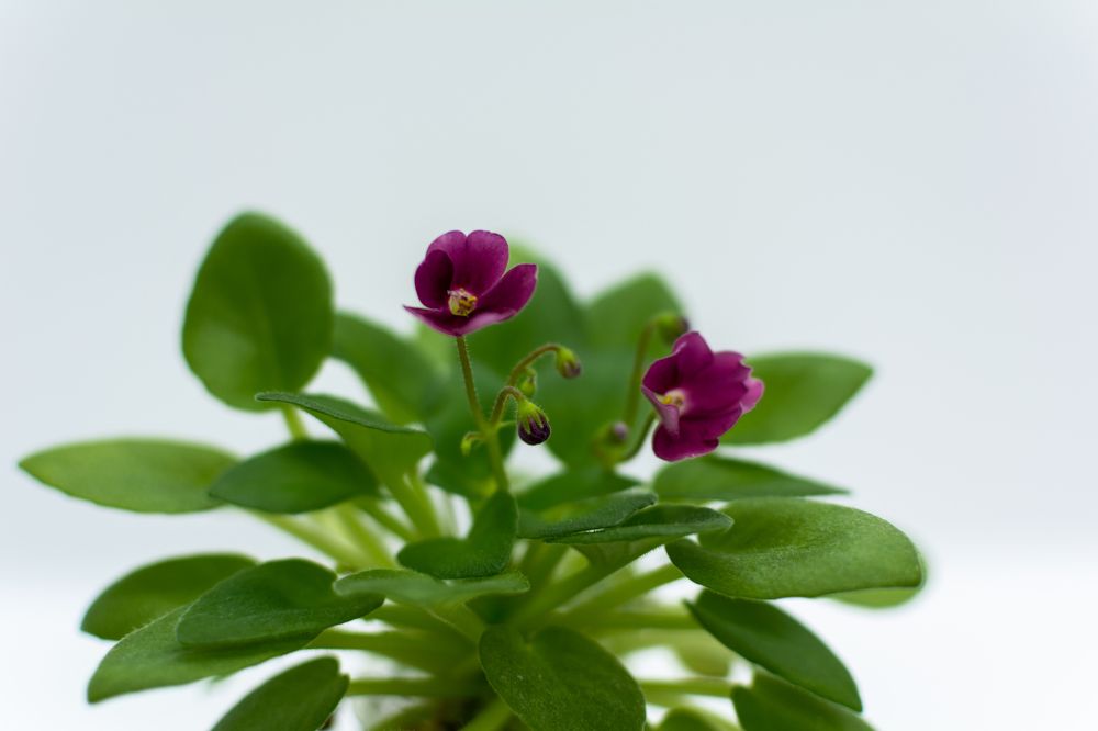 Photograph by Dmitrii Ikonnikov