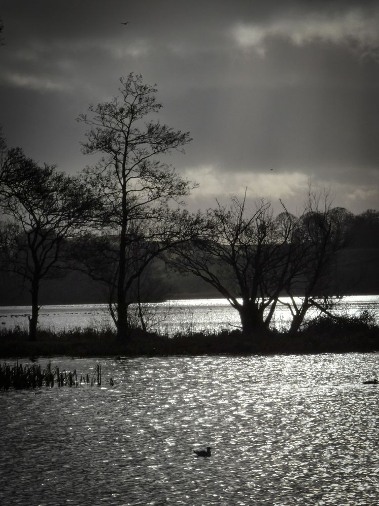 Фотография автора Michael Gault