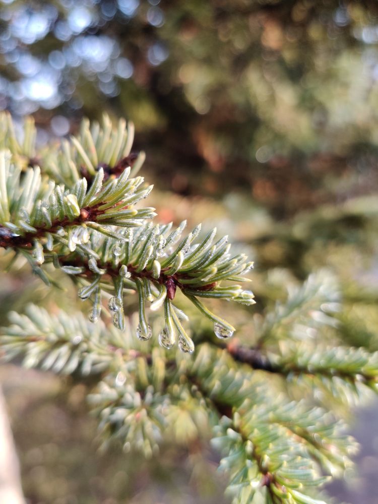 Photograph by Дмитрий Иконников