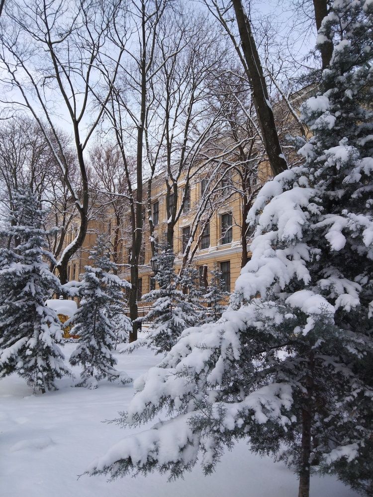 Photograph by Лена Силайчева