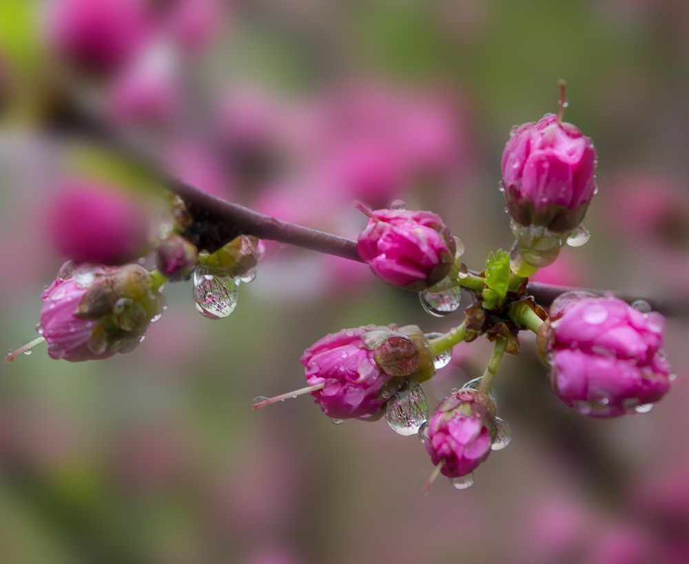 Photograph by Ольга Блохина