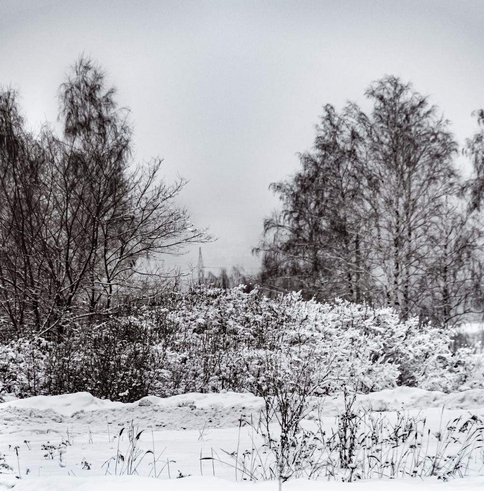 Photograph by Ольга Булдакова