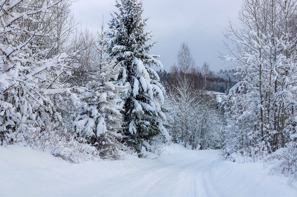 Photograph by Юлия Трап