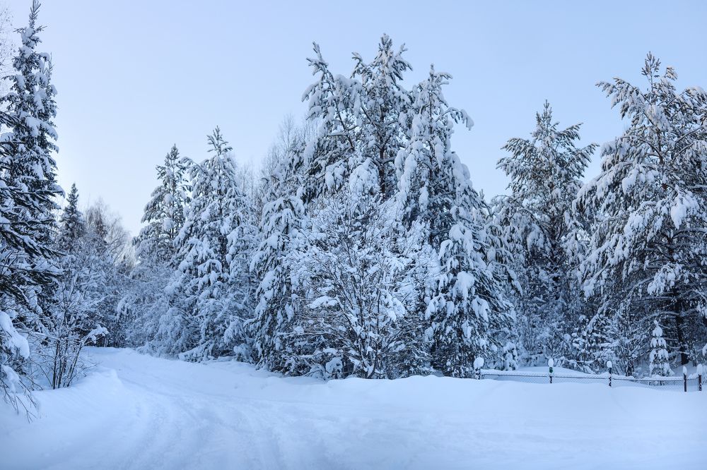 Photograph by Юлия Трап