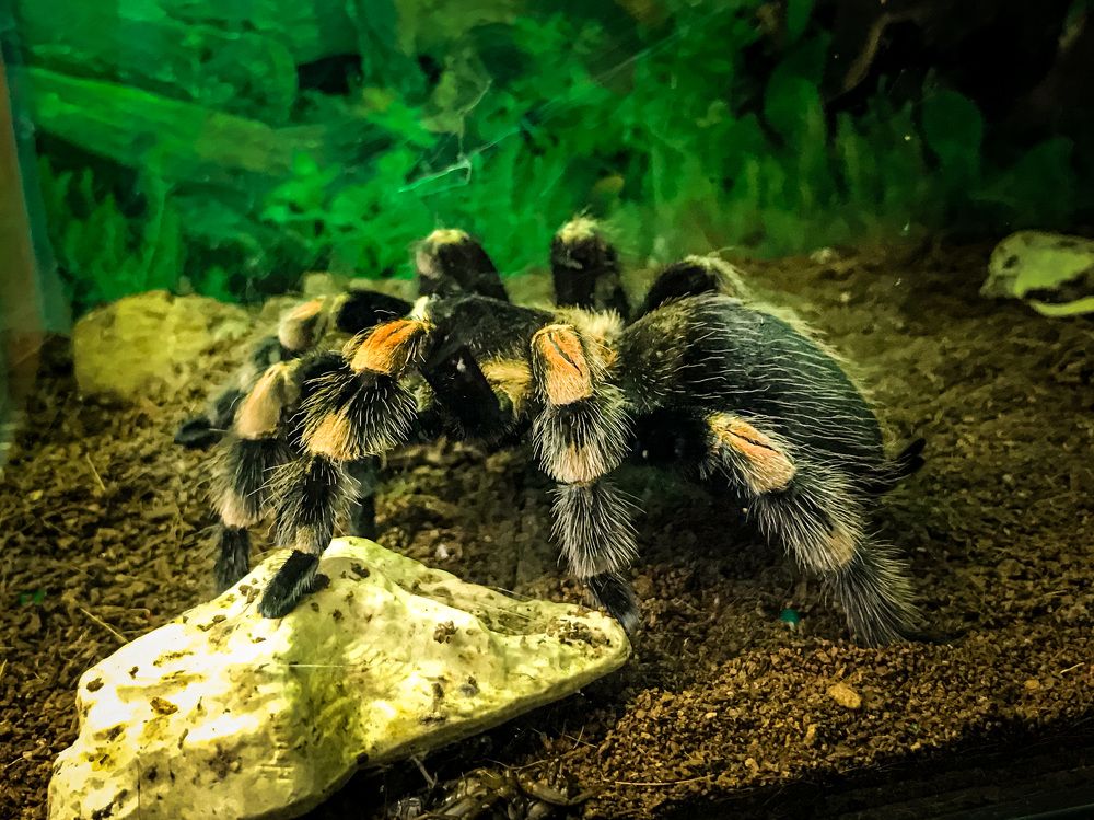 Photograph by Армен Егиян