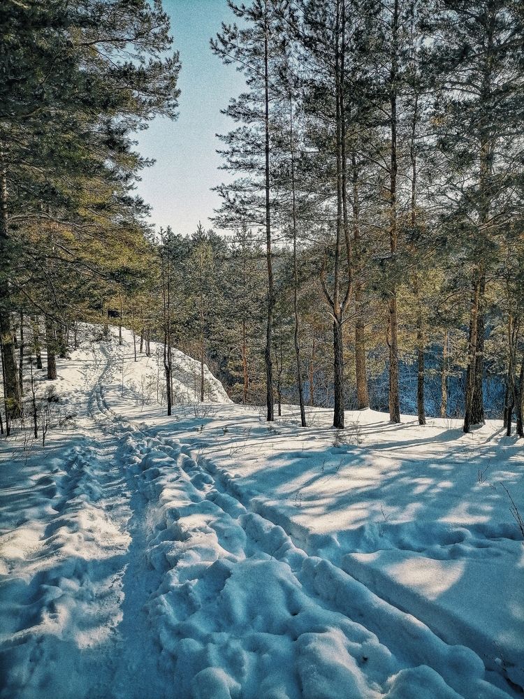 Photograph by Наталья Веряскина