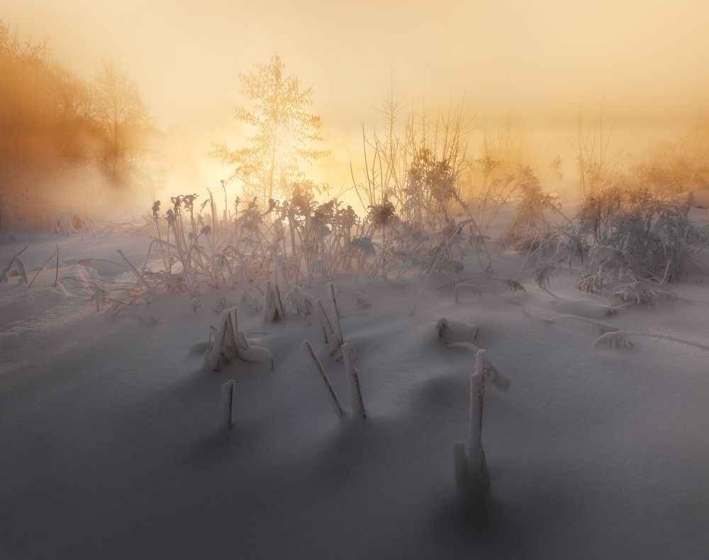 Фотография автора Гарбузов Илья