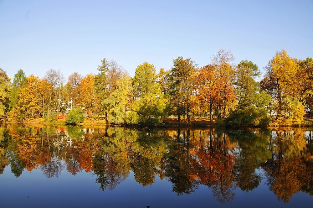 Золотая осень.